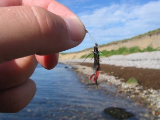 You don't want this! You don't want this!