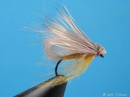 CDC&Elk Loopwing CDC&Elk Loopwing