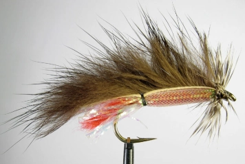 Classical style Classical style