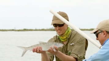 A bonefish A bonefish
