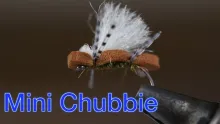 Video thumb for Mini Chubby Chernobyl