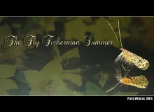 User submitted picture: My favourite fly...