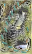 User submitted picture: This image is the result ...