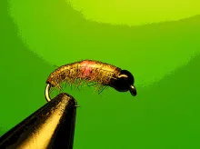 User submitted picture: NYMPH'ART !!  www.guidep...