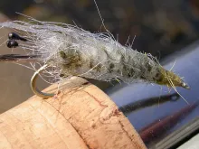 User submitted picture: The Junior Mysis