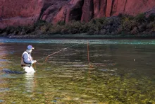 User submitted picture: Walking a long mend downs...