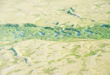 User submitted picture: Alaska Trout River with s...