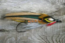 User submitted picture: "Darter"