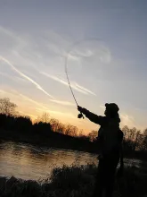 User submitted picture: Early spring on the river...