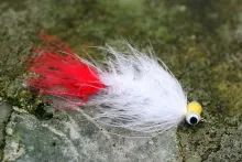 User submitted picture: The Worm. A deadly patter...