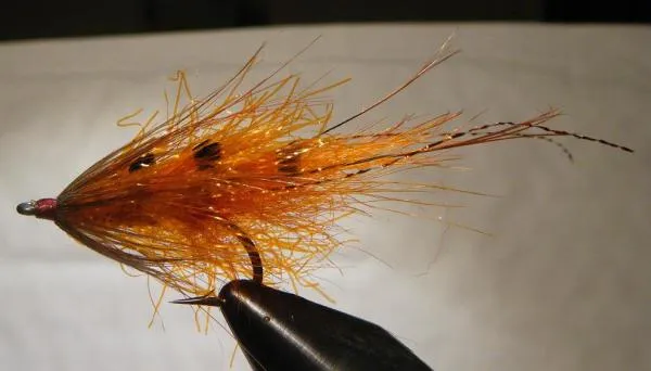 User submitted picture: General Practitioner, Var...