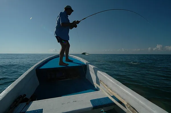 User submitted picture: 85 pounds and too fast fo...