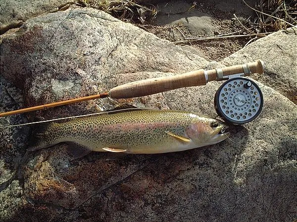 User submitted picture: A classic touch.