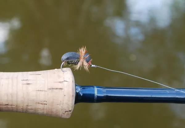 User submitted picture: Poly bug